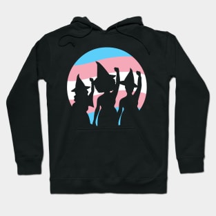 Witches Vote-Trans Pride! Hoodie